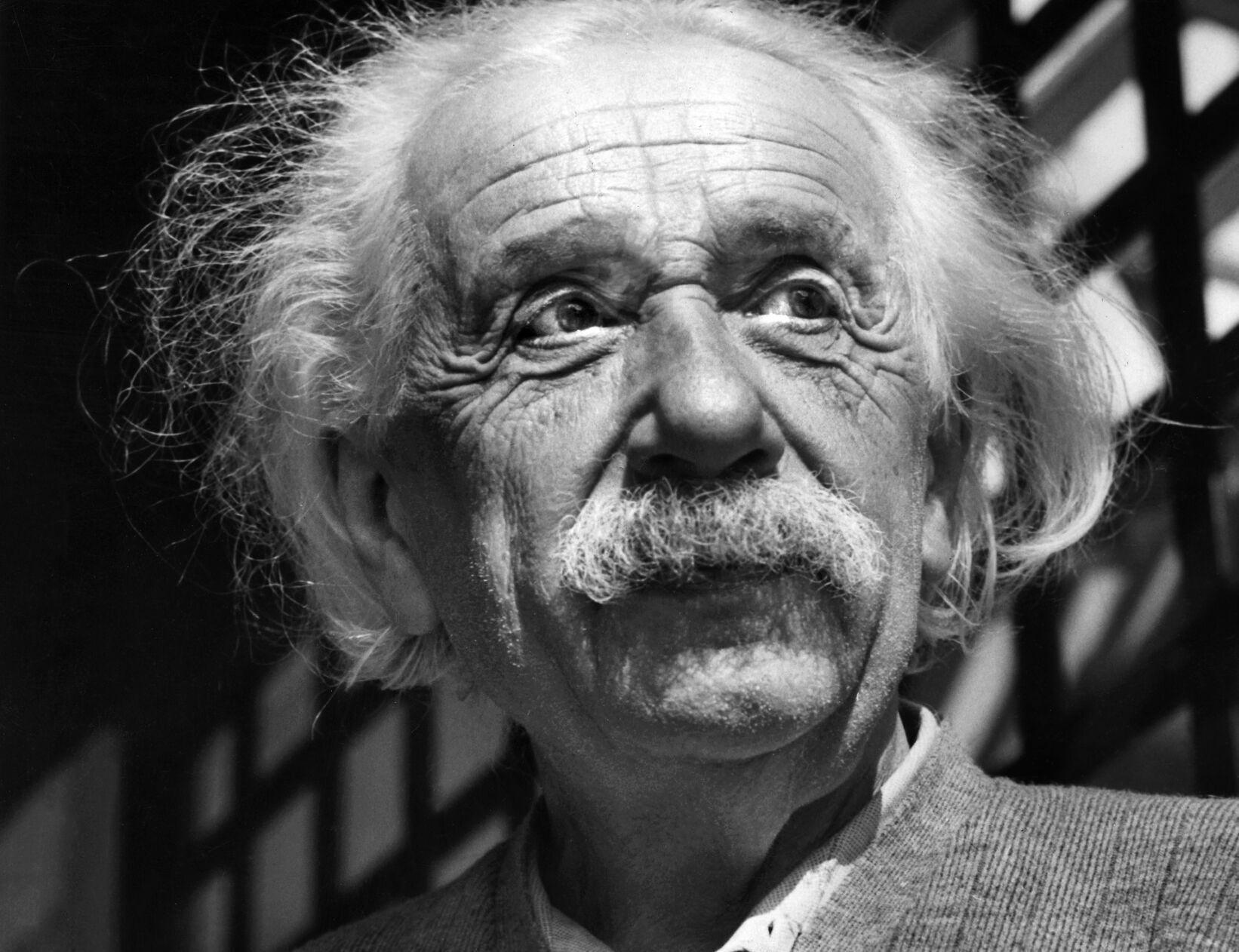 1955: Albert Einstein
